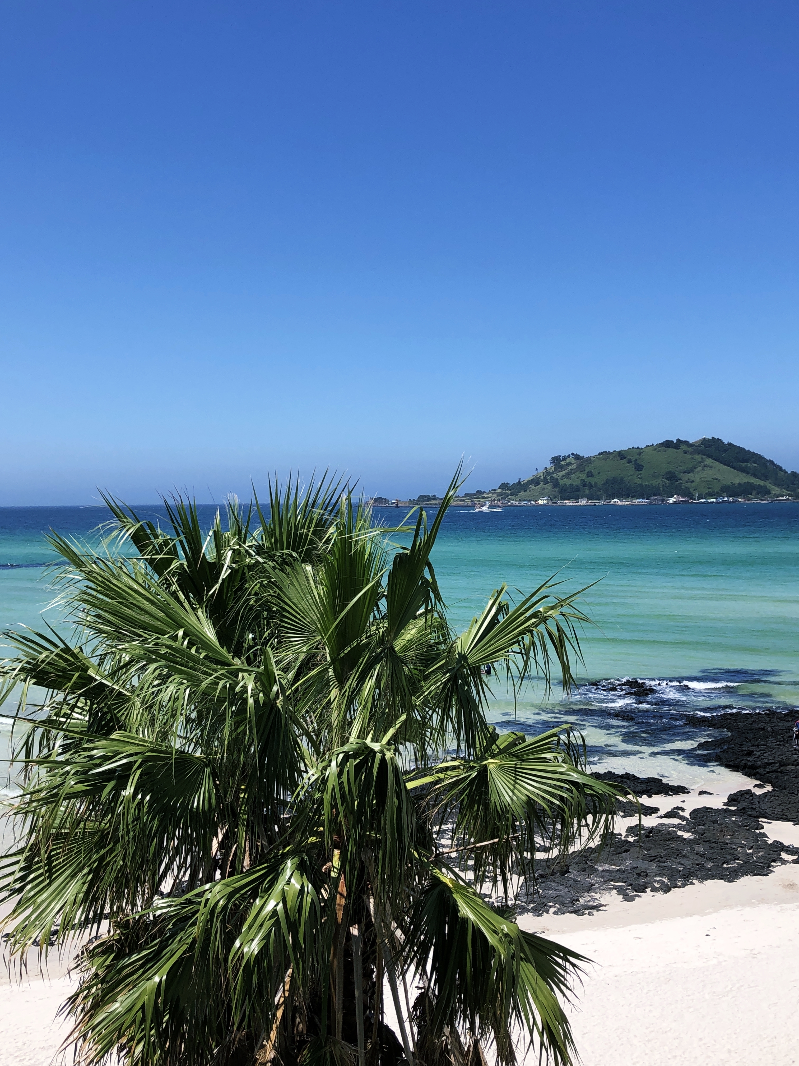  [2020년 9월 1일] 제주도 코로나19 확진자 현황