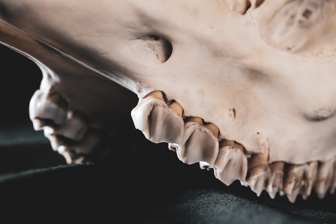 Cavity