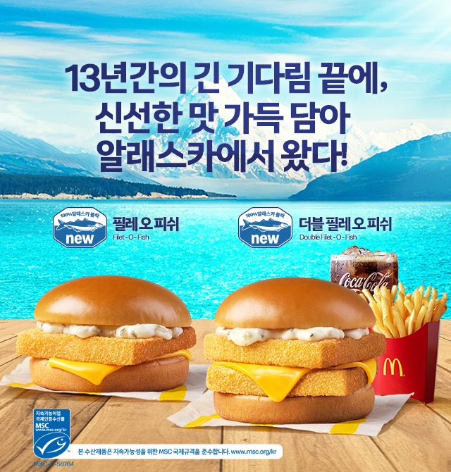 피쉬피쉬 이미지