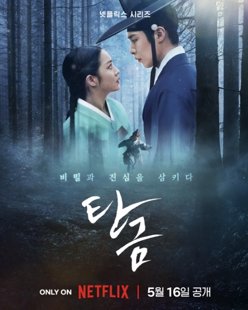 드라마'탄금' 출연진과 원작 내용 몇부작