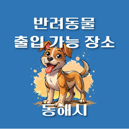 썸네일-동해시-반려동물-출입가능-장소-안내