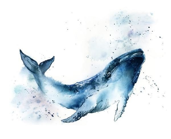 흰수염고래 - YB 윤도현