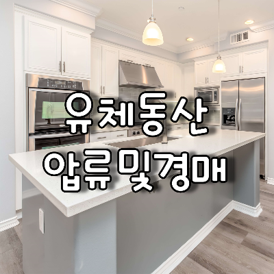  유체동산 압류 및 경매 그리고 채무자의 대응