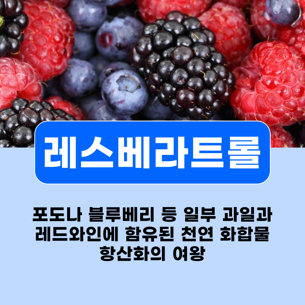  레스베라트롤, 항산화 효능과 부작용 및 직구 영양제 세계 탑3 비교 추천