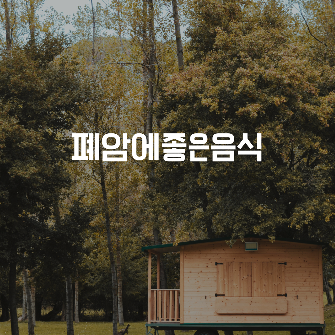  폐암에좋은음식 9가지