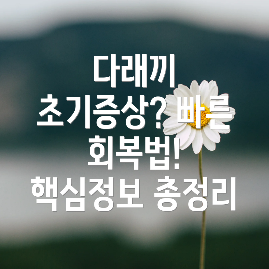 다래끼 초기증상