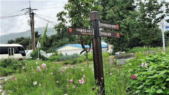 코스모스 꽃밭에 세워진 이정표&#44; 검은 목재기둥&#44; 왼쪽에 전신주&#44; 늘어진 전깃줄&#44; 가운데 보이는 하늘색 지붕의 창고 건물&#44;