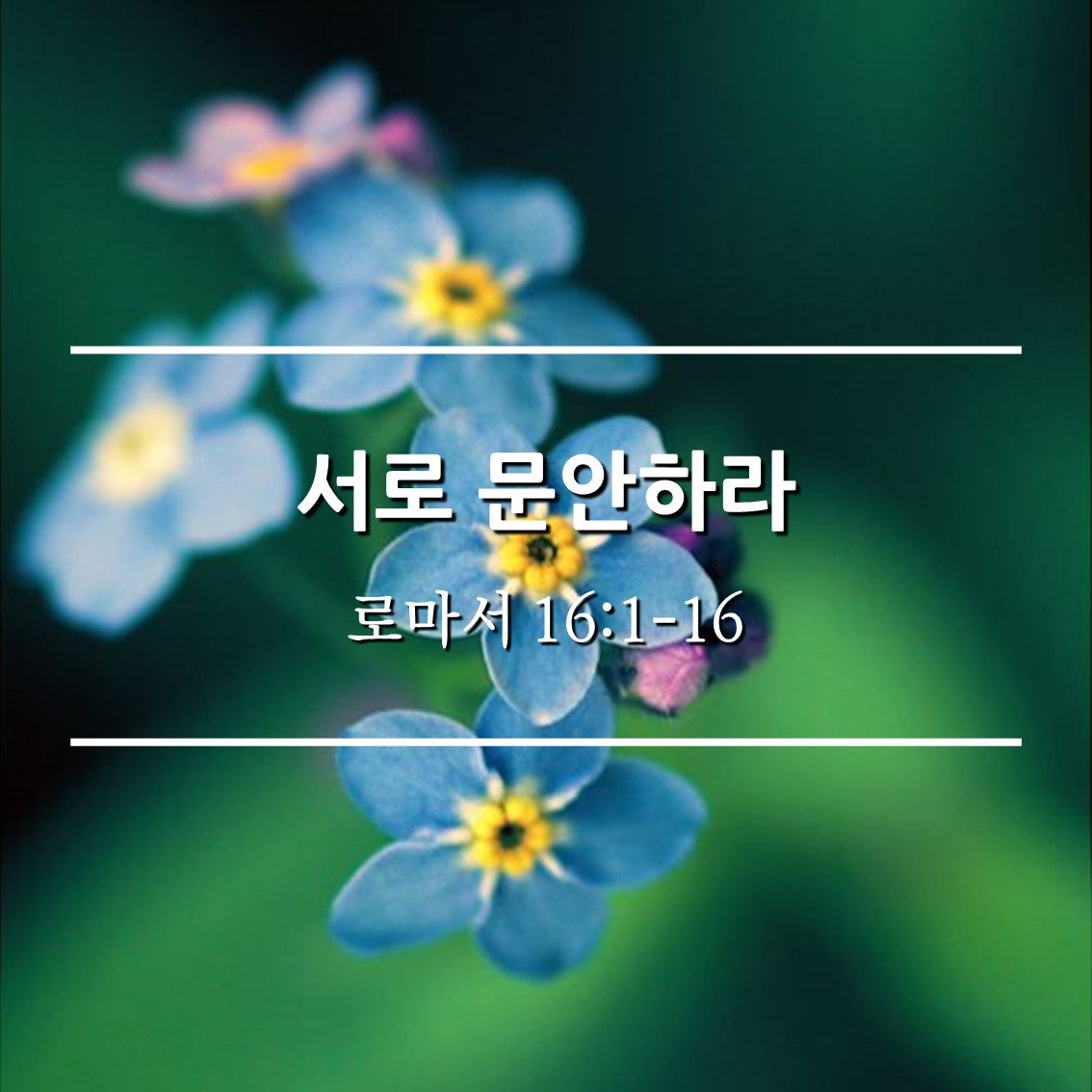  서로 문안하라 / 롬 16:1-16