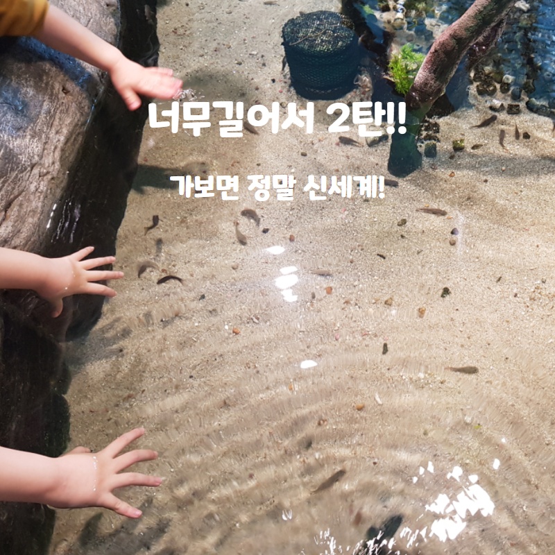  일산 한화 아쿠아 플라넷! 2탄 너무길어서 다시 써보아요~