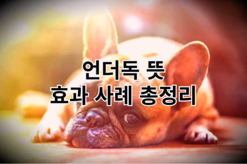 언더독 뜻 효과 사례 총정리