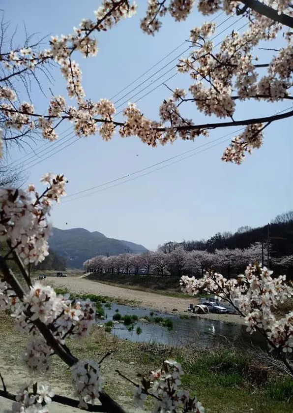 천안OK캠핑