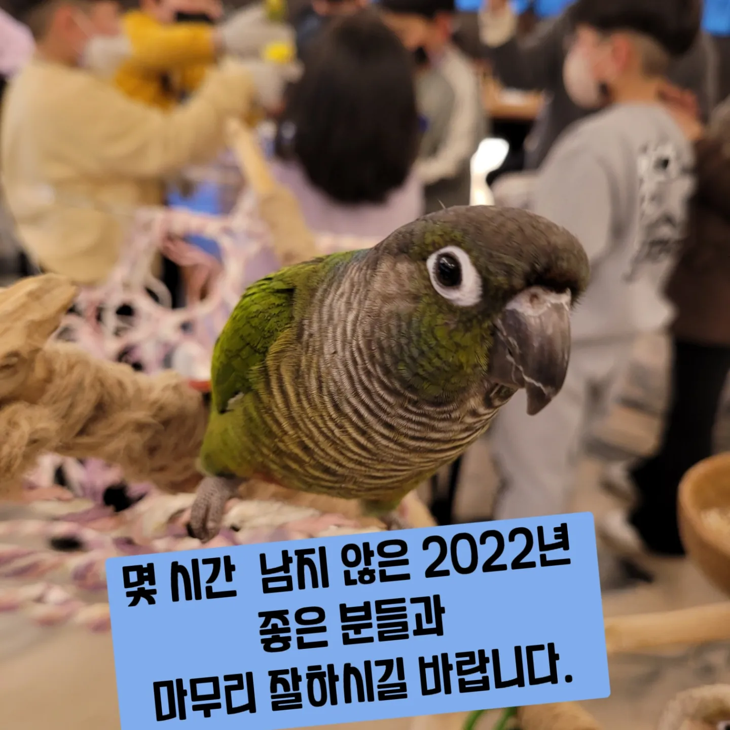 찐소 이미지