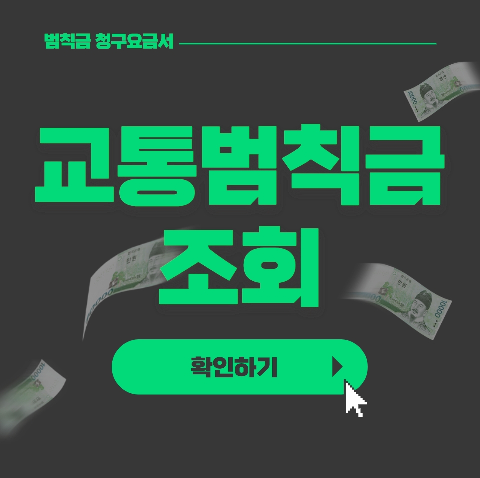  교통범칙금 조회 (교통위반)