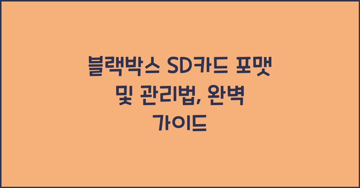 블랙박스 SD카드 포맷 및 관리법