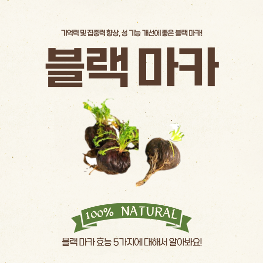  블랙 마카 효능 5가지, 기억력 및 집중력 강화부터 성 기능 개선까지!