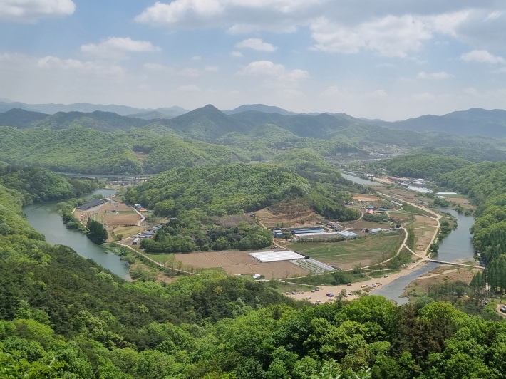 노루벌