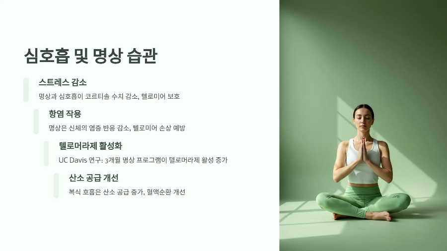 심호흡 및 명상습관