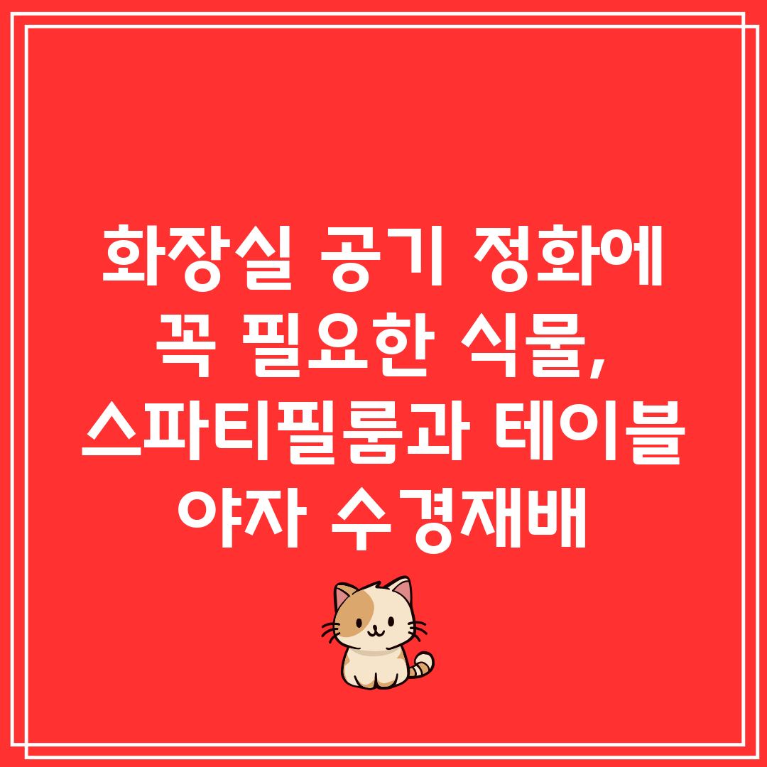 화장실 공기 정화에 꼭 필요한 식물, 스파티필룸과 테이