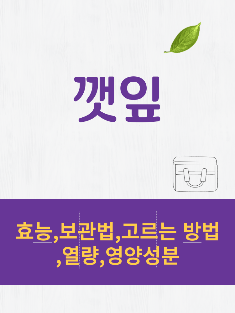  깻잎 효능 및 열량과 보관법 칼로리 총정리
