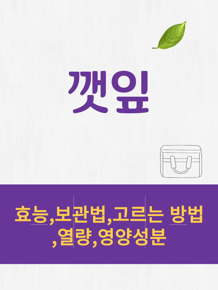 깻잎 효능 및 열량과 보관법 ⭕칼로리 총정리