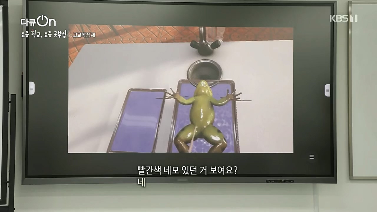 다큐 On.E175.221210p.H264-F1RST.mp4_20221217_181638.927.jpg