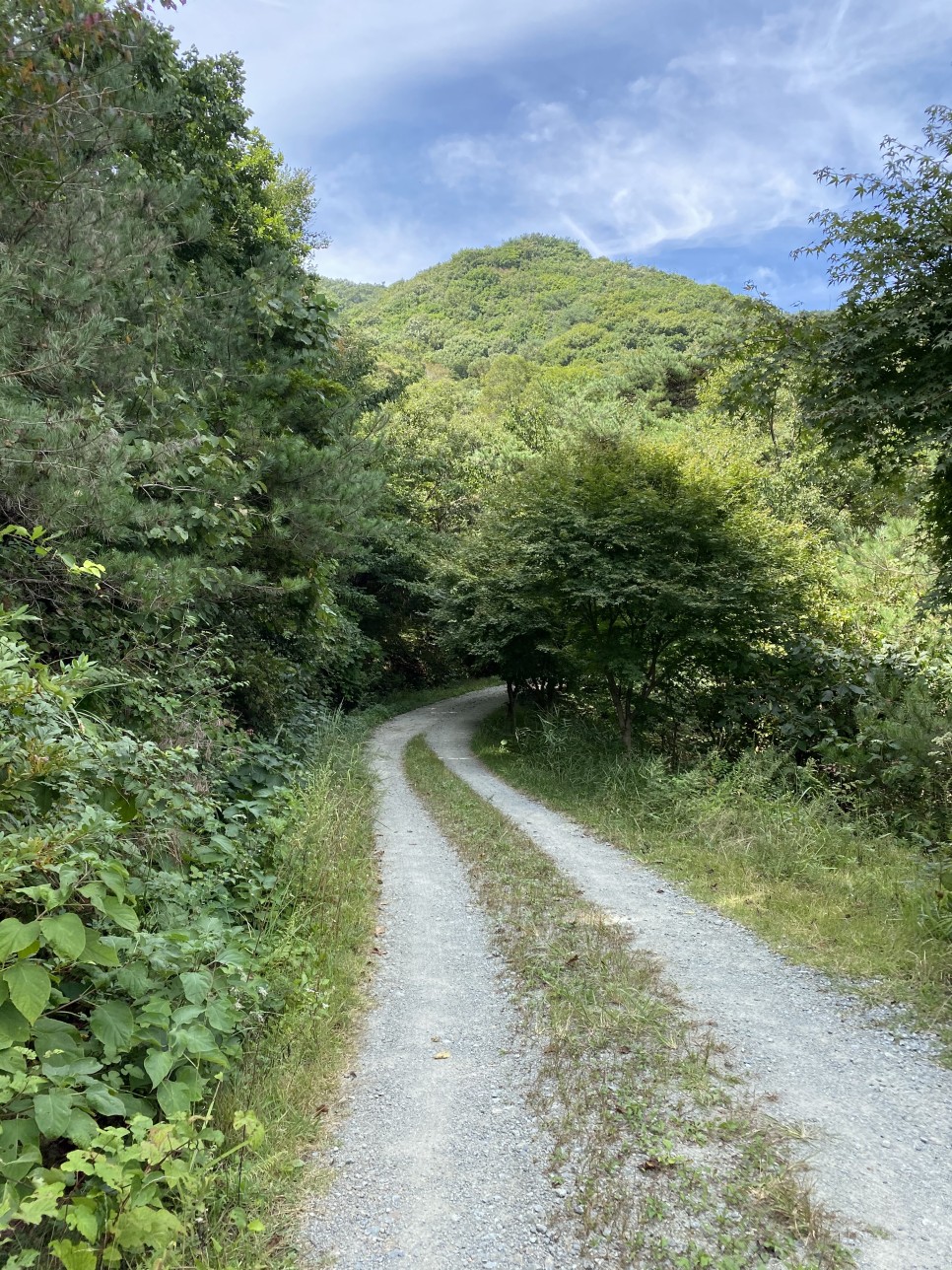 홍길동이 다녀간 20