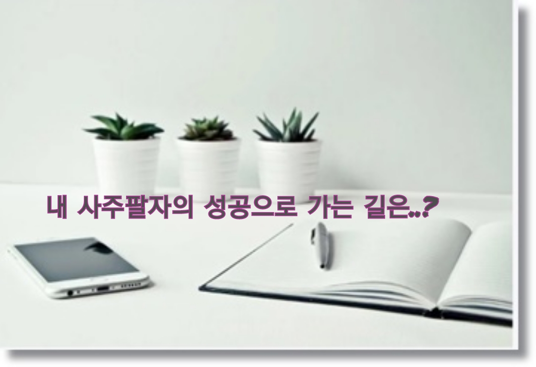비금 이미지