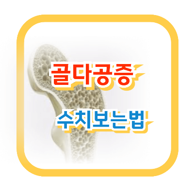 골다공증-수치