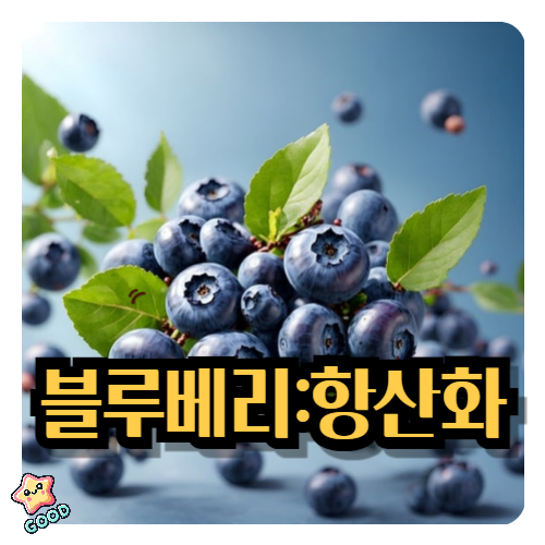 심장-블루베리-항산화