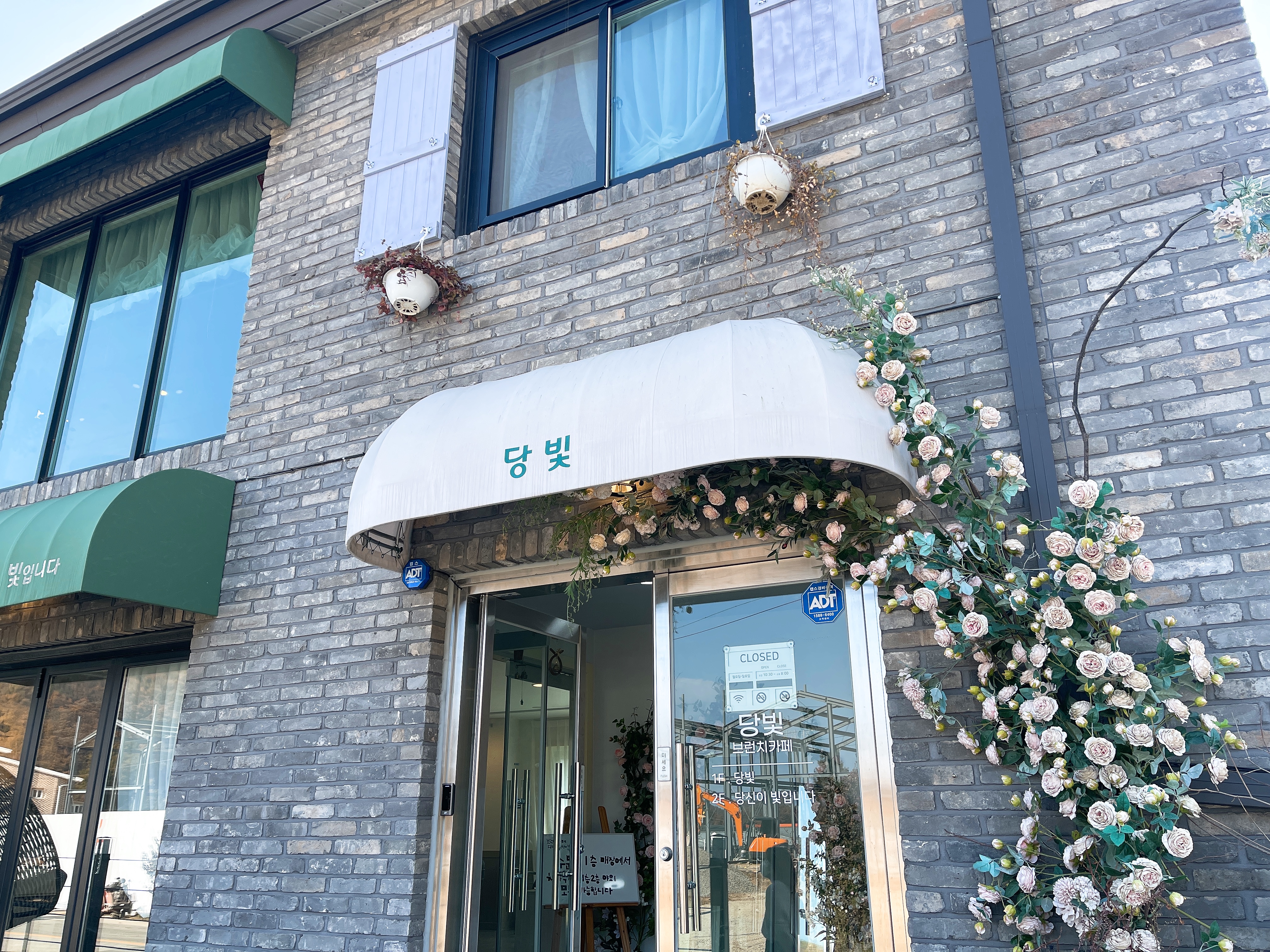당빛 이미지