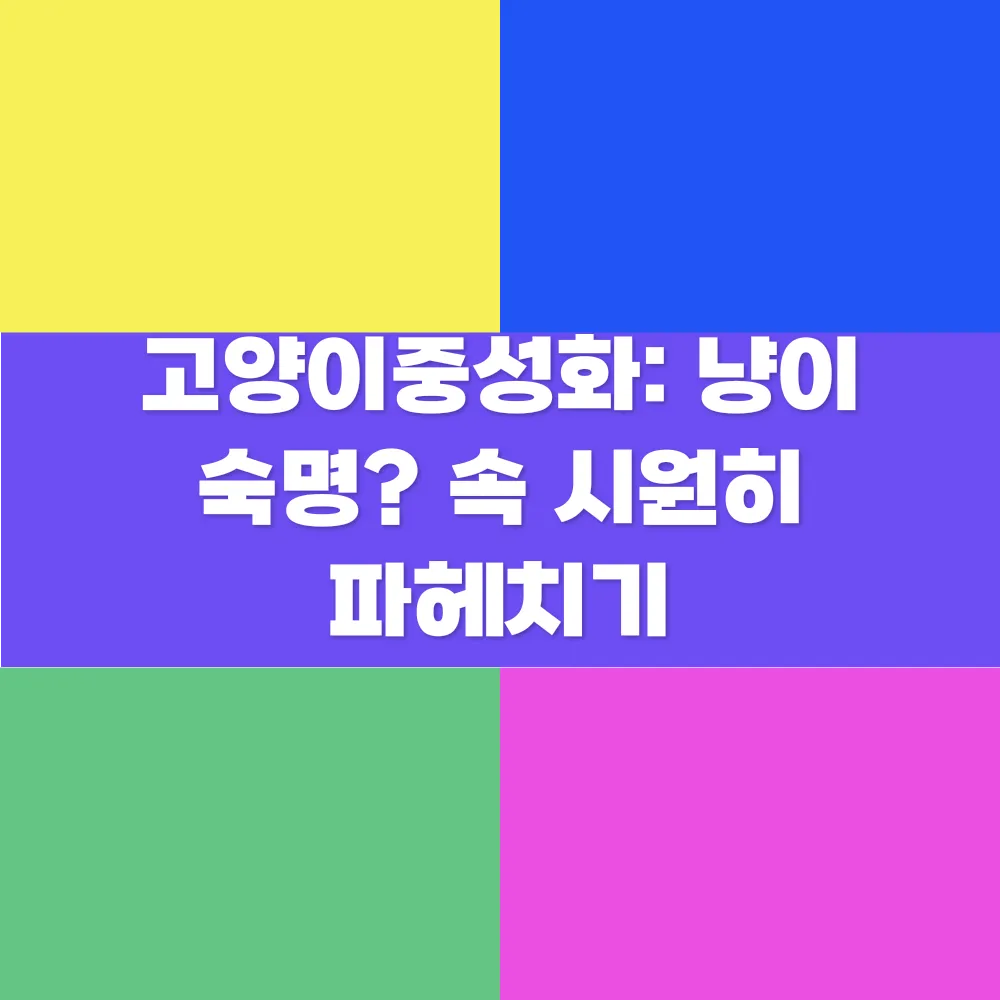 썸네일 이미지