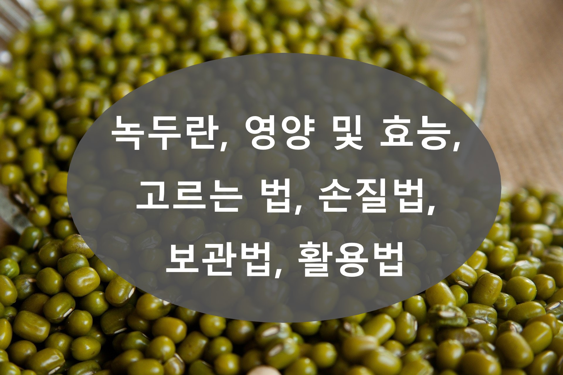녹두(Mung Bean)란, 영양 및 효능, 고르는 법, 손질법, 보관법, 활용법