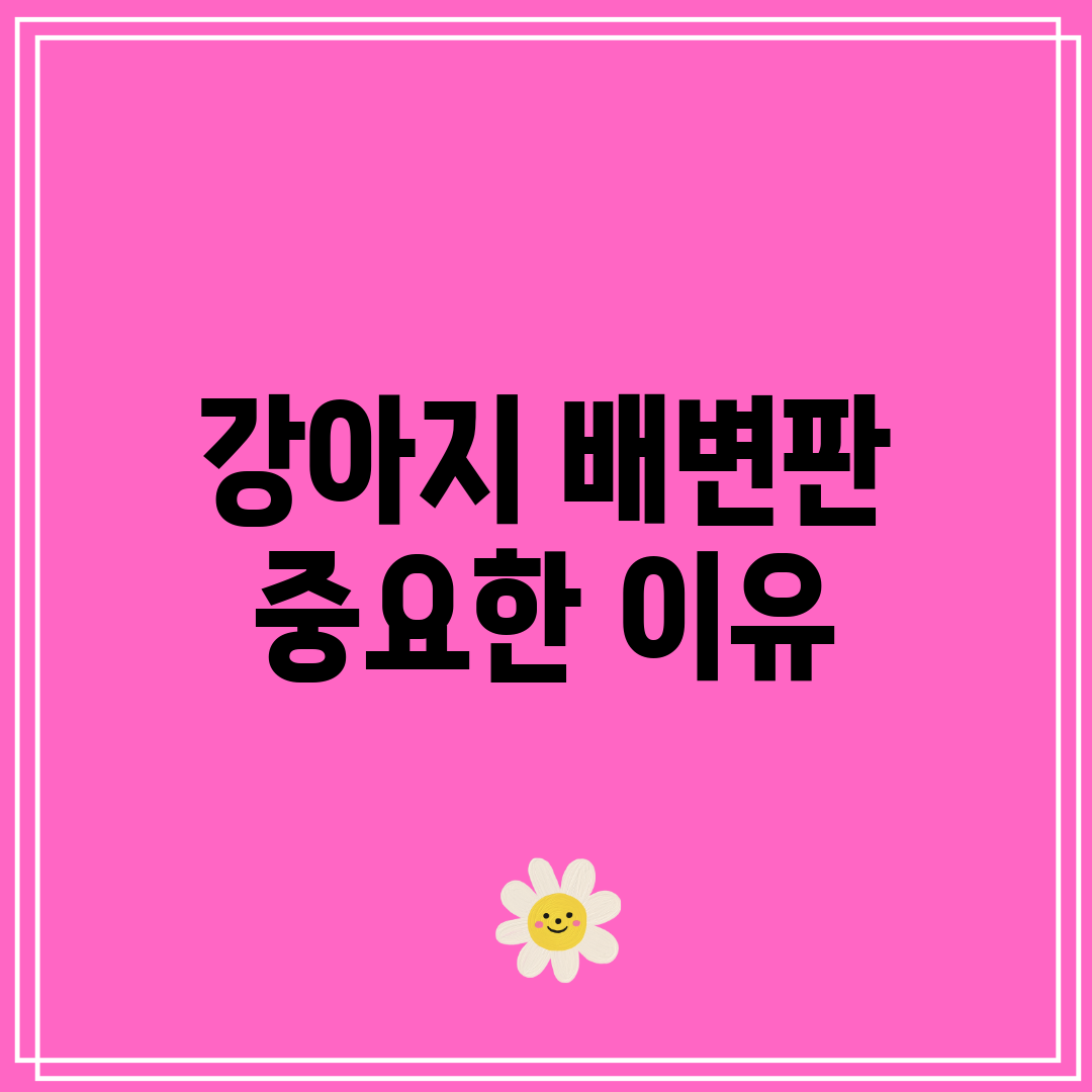 강아지 배변판 중요한 이유