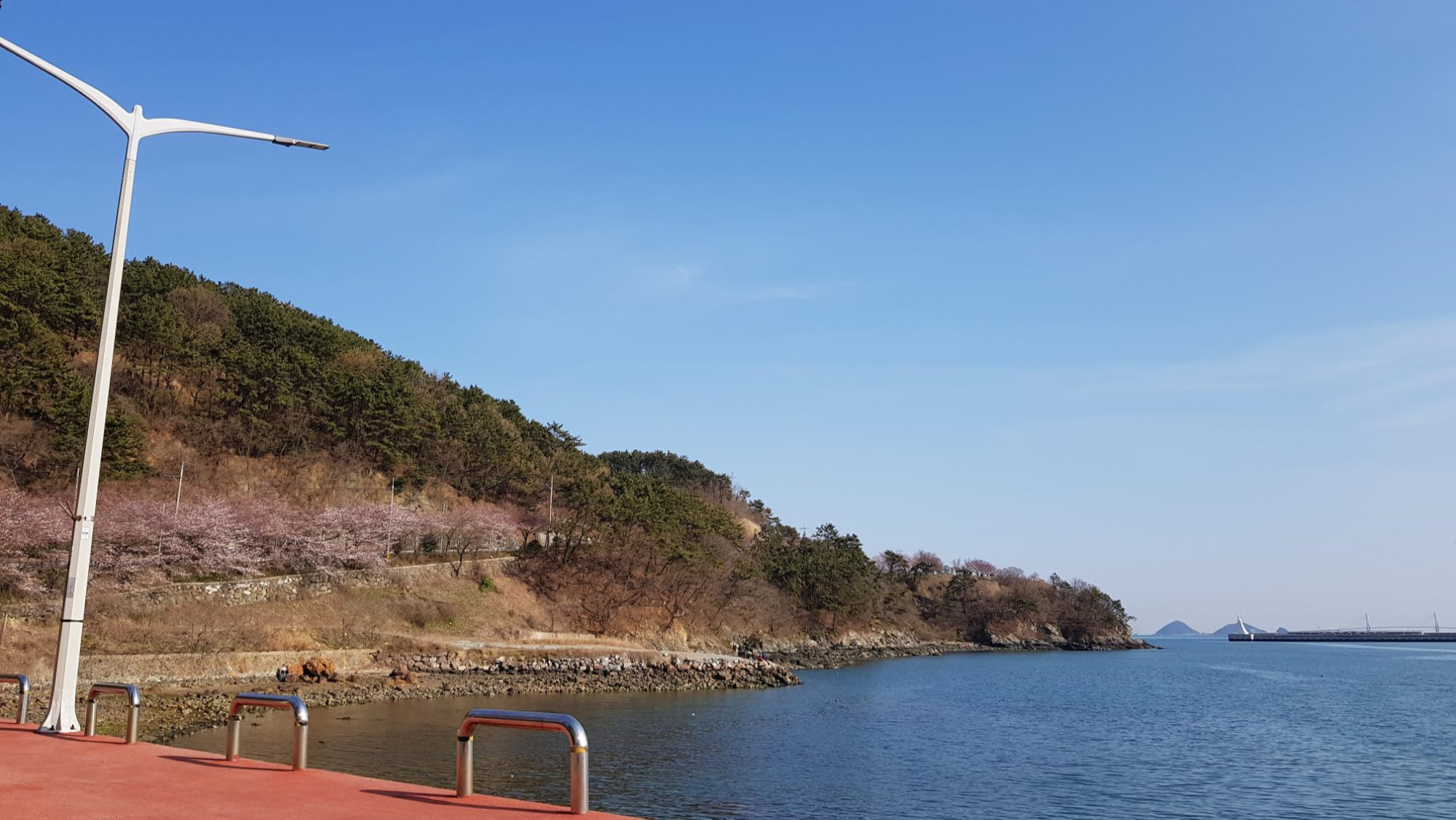  부산근교-2) 진해 벚꽃 드라이브, 창원 해양 공원 짚트랙