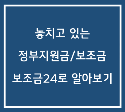  정부지원금 신청 - 보조금24를 통해 놓치고 있는 정부 지원금 찾아보기