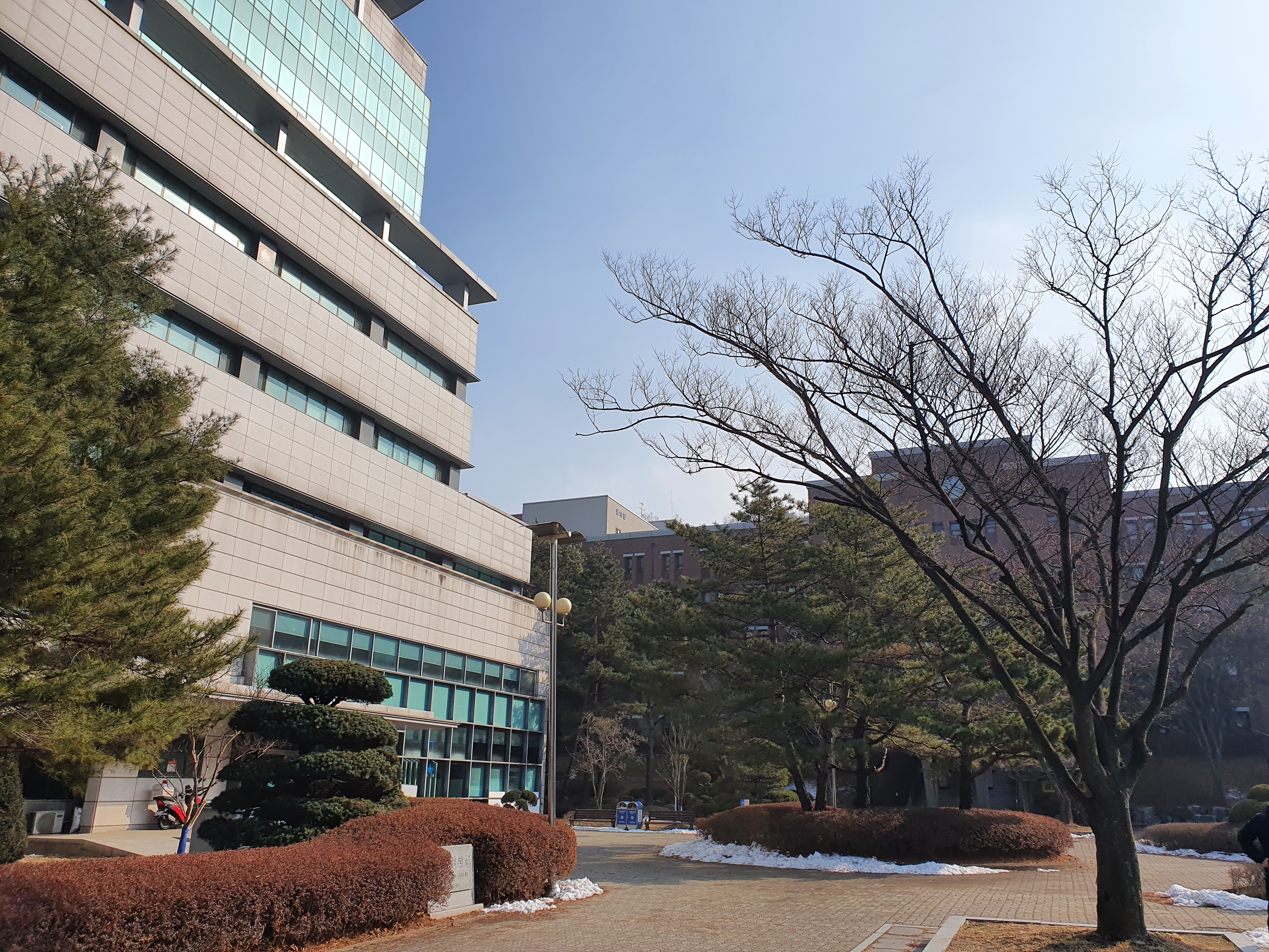  17년 전 양띠와 처음 만났던 그곳