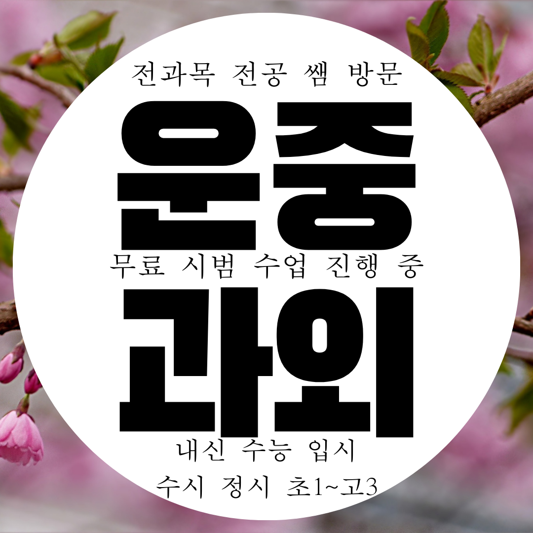  서판교 영어과외 분당 운중동 수학과외 영수 국어 과학 물리 화학 고등