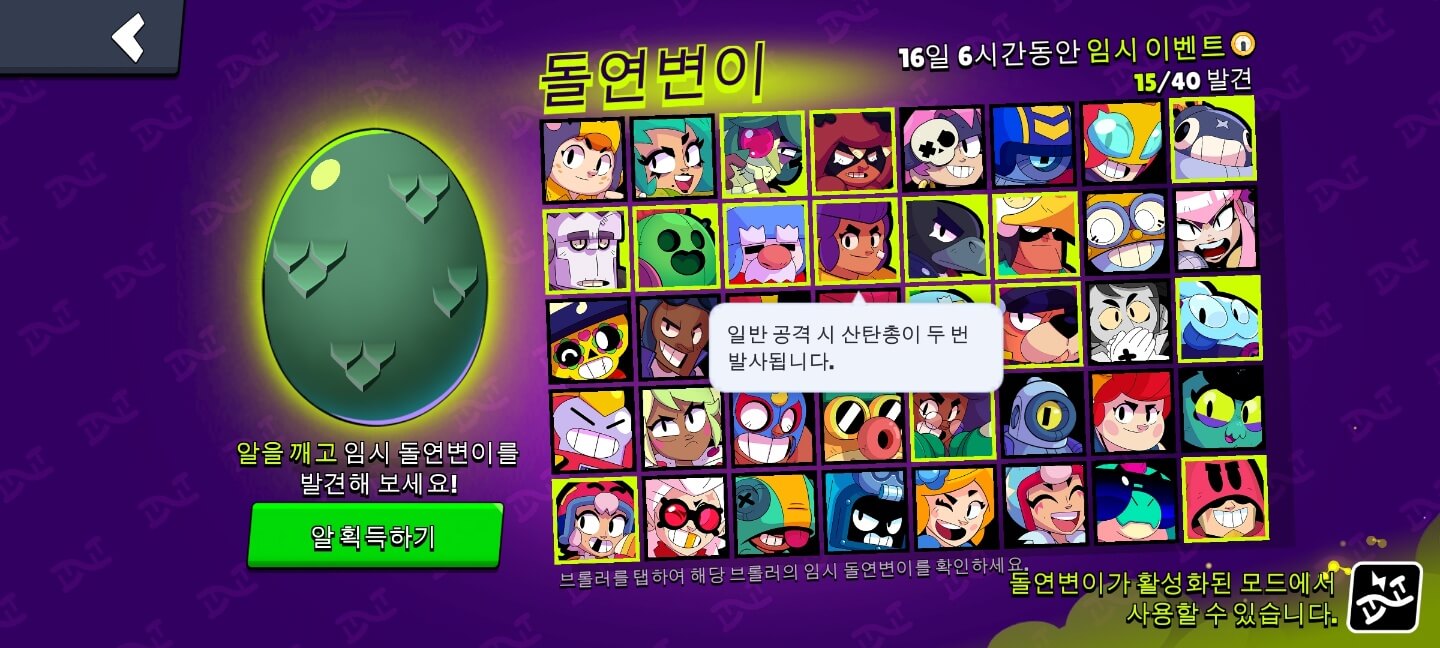 쉘리 돌연변이