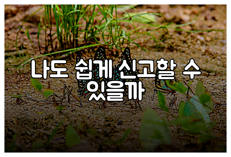 나도 쉽게 신고할 수 있을까
