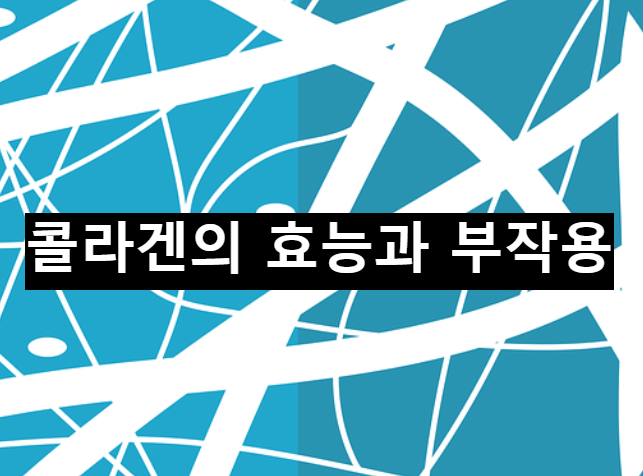  콜라겐의 효능과 부작용