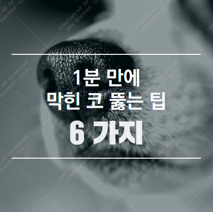  1분 만에 막힌 코 뚫는 팁 6가지