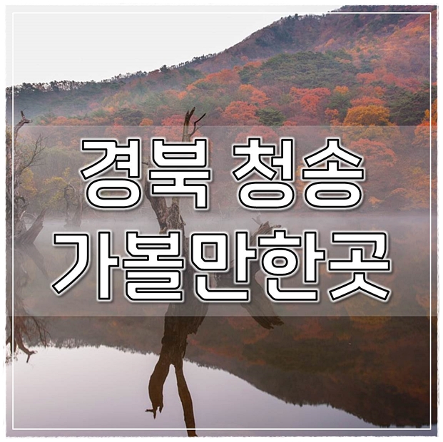  경북 청송 가볼만한곳 전문가선정 TOP