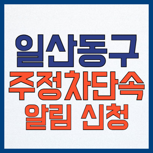 고양시 일산동구 주정차