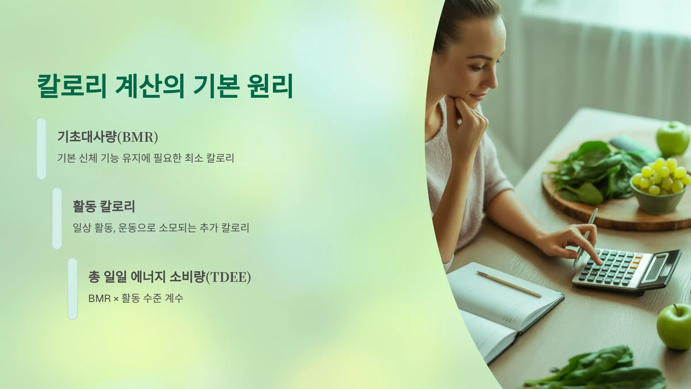칼로리 계산의 기본 원리