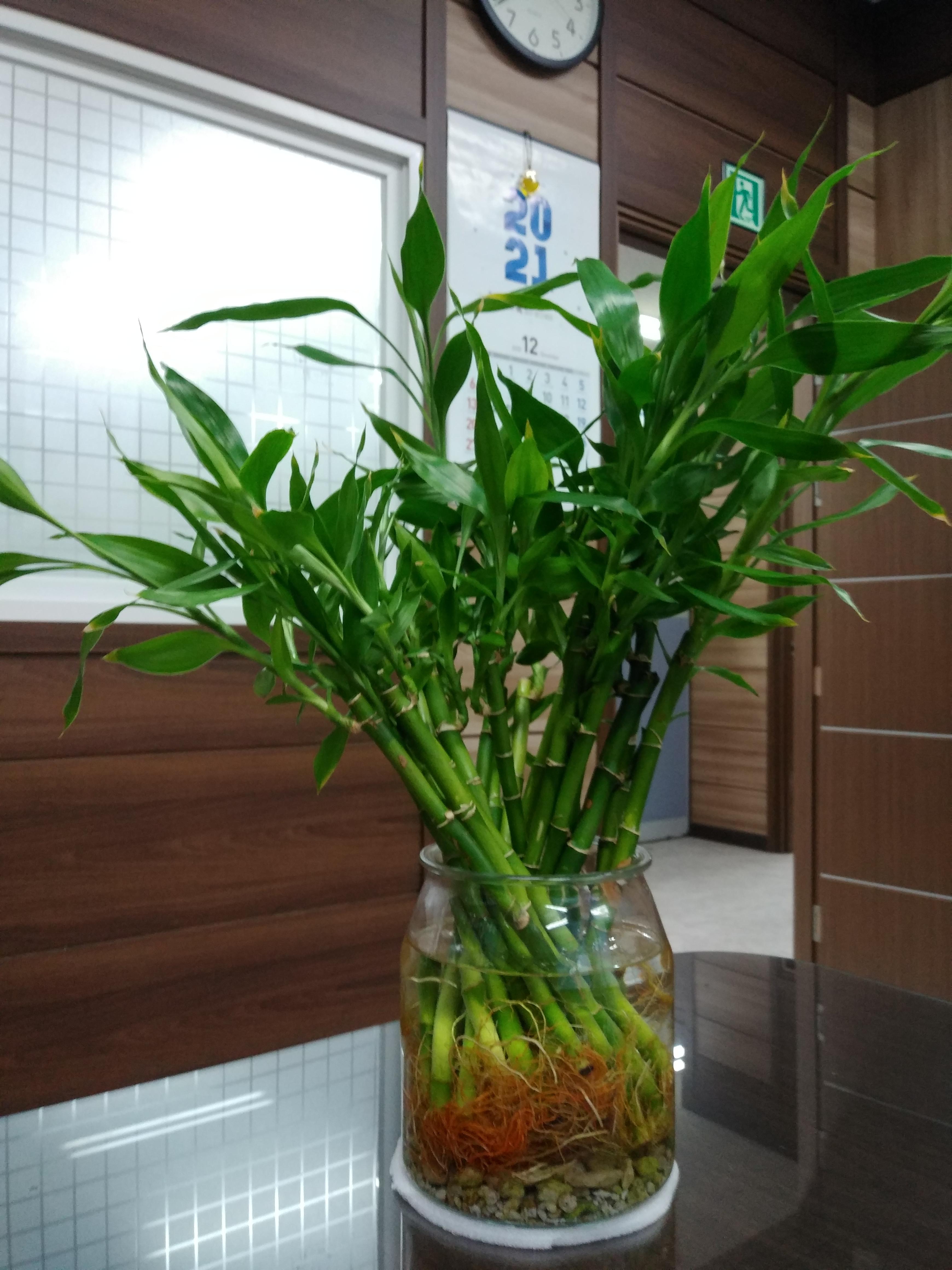  滿招損 謙受益