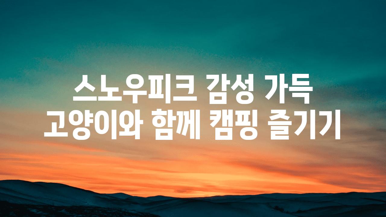 스노우피크 감성 가득 고양이와 함께 캠핑 즐기기