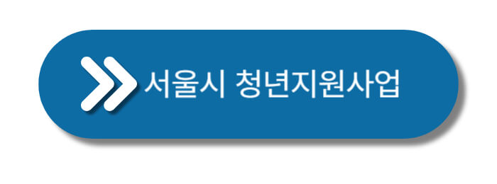 서울시-청년사업-총정리-버튼