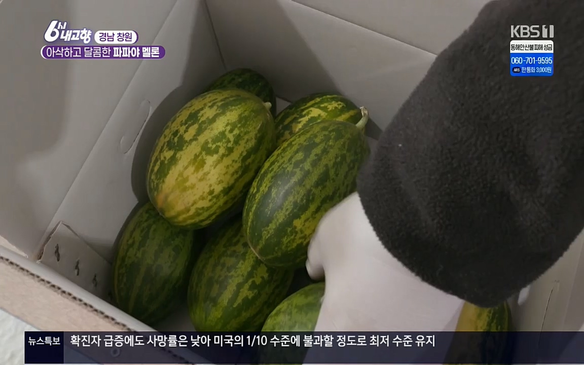6시 내고향.E7501.220332p.H264-F1RST.mp4_20220402_201623.479.jpg