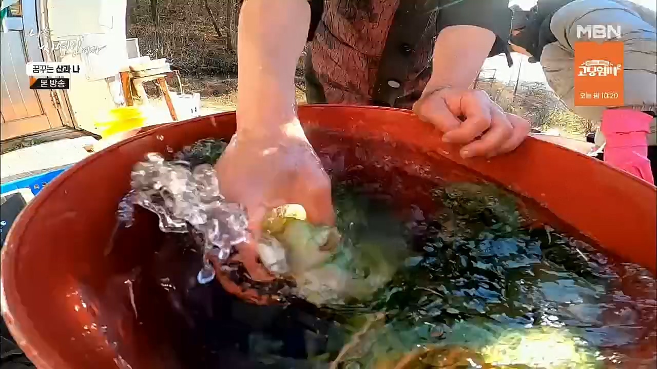 나는 자연인이다.E534.221229p.H264-F1RST.mp4_20221229_200041.673.jpg