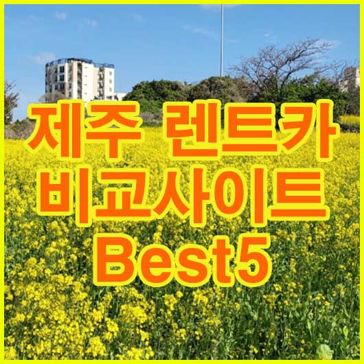  제주 렌트카 비교사이트 Best5